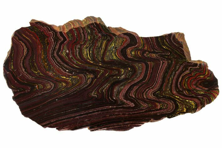 Polished Tiger Iron Stromatolite - Billion Years #129331
